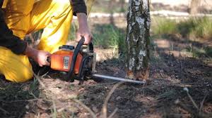 Mulching Services in Stewart Manor, NY
